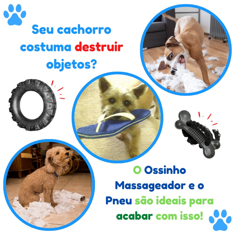 Kit Brinquedo Mordedor para Cachorro