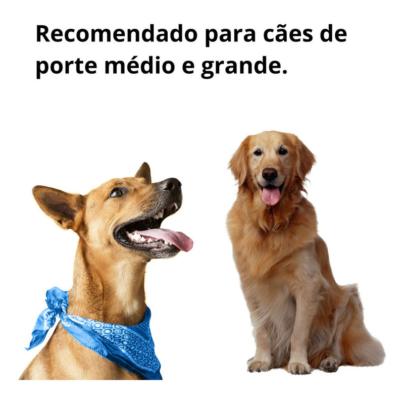 Comedouro Cães Educativo