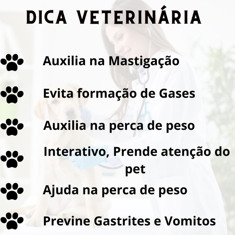 Comedouro Cães Educativo